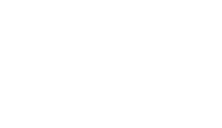 Bear Naked Logo